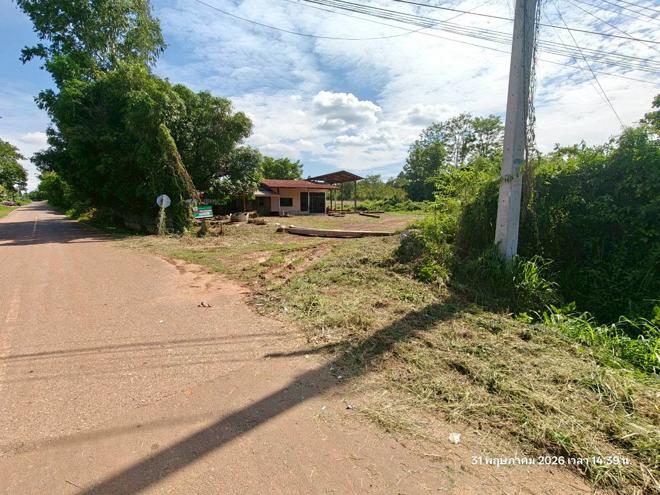 รูป บ้านเดี่ยว 5520 ตร.วา ชานุมาน อำนาจเจริญ 13.6M - รูปที่ 25/54
