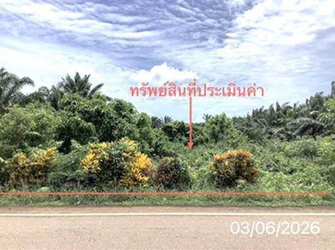 รูป ที่ดินว่างเปล่า 125 ตร.วา ปะเหลียน ตรัง 1.4M - รูปที่ 13/16
