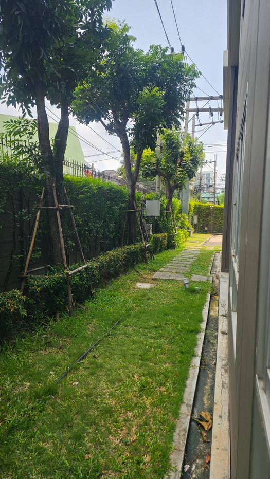 picture Condo for Rent D Condo Sukhumvit 109 by Sansiri - 8/11