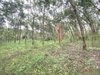 listing thumbnail image 53