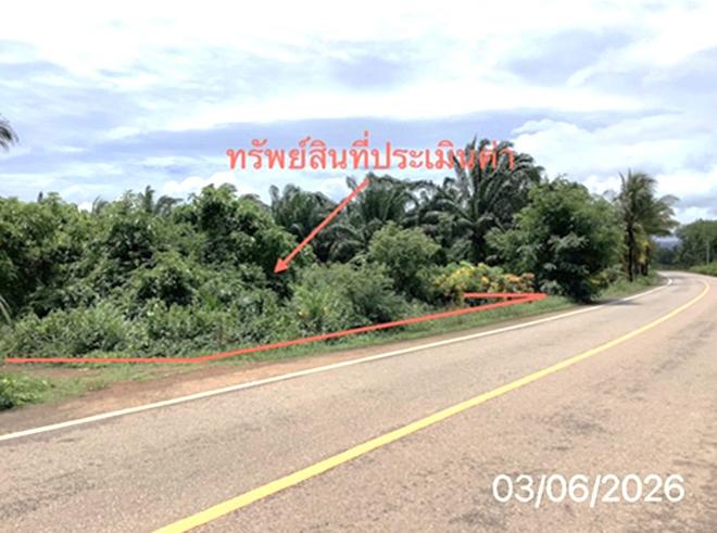 รูป ที่ดินว่างเปล่า 125 ตร.วา ปะเหลียน ตรัง 1.4M - รูปที่ 3/16