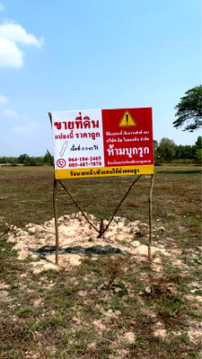 ขายที่ดิน : ขายที่ดินสวย อ.เมืองศรีสะเกษ คุ้มสุดๆ!