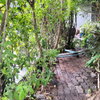 listing thumbnail image 13