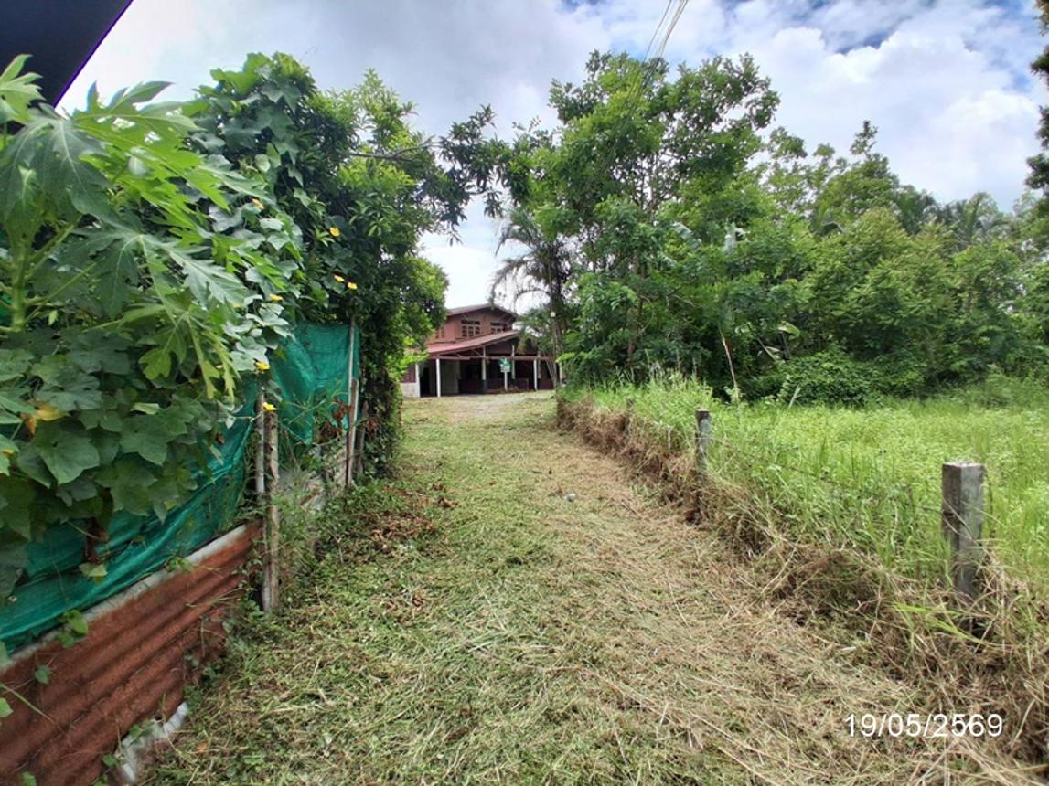 picture HOME 372 Sq.w. Phon Thong Roi Et for 2.7M - 39/44