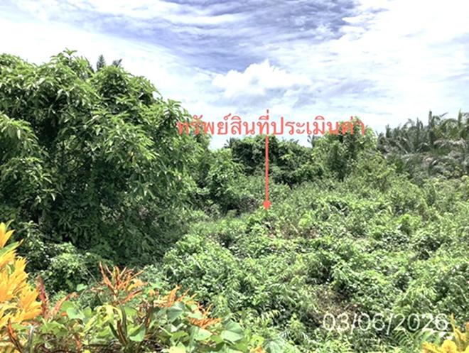 รูป ที่ดินว่างเปล่า 125 ตร.วา ปะเหลียน ตรัง 1.4M - รูปที่ 5/16