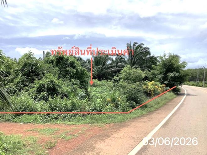 รูป ที่ดินว่างเปล่า 125 ตร.วา ปะเหลียน ตรัง 1.4M - รูปที่ 4/16