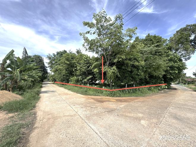 picture HOME 251 Sq.w. Khuang Nai Ubon Ratchathani for 1.5M - 13/30