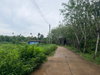 listing thumbnail image 13