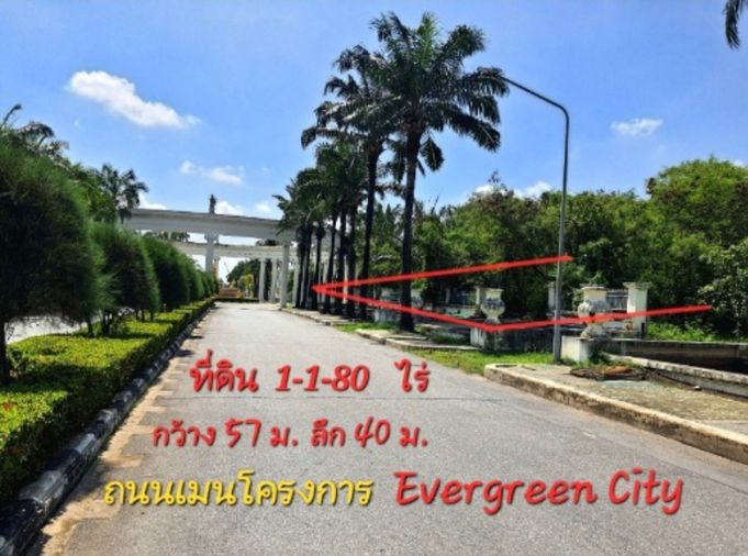 ขายที่ดิน 274 ตร.ว. เอเวอร์กรีน ซิตี้