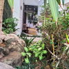 listing thumbnail image 9
