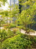 listing thumbnail image 22
