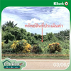 listing thumbnail image 13