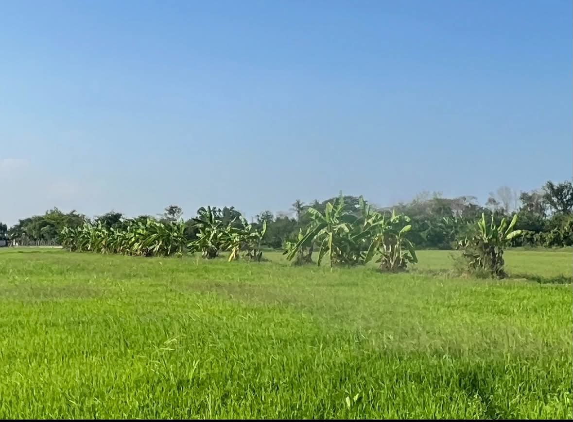 picture Vacant land for sale—excellent plot, suitable for a warehouse, café, or private residence. - 5/8