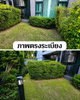 listing thumbnail image 6