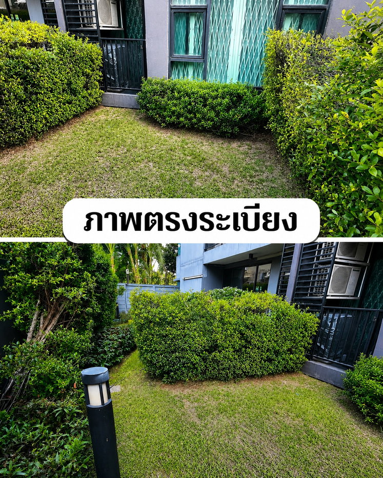 รูป 📣 ให้เช่า! คอนโดฟีลบ้านเดี่ยว ดีมูระ รัชโยธิน (D'Mura Ratchayothin) - รูปที่ 7/16