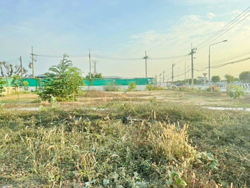 รูป วงแหวน คลองพระอุดมติดถนนกาญจนาภิเษก 400ตร.ว. 1,600ตร.ม ลาดหลุมแก้ว ปทุมธานี ให้เช่าที่ดินถมแล้ว 1 -2 ไร่ครึ่ง วัดทองสะอาด 1.92กม. - รูปที่ 5/8