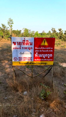 ที่ดิน อุบลราชธานี : ขายที่ดินสวย อ.พิบูลมังสาหาร อุบลฯ ราคาคุ้มมาก! 