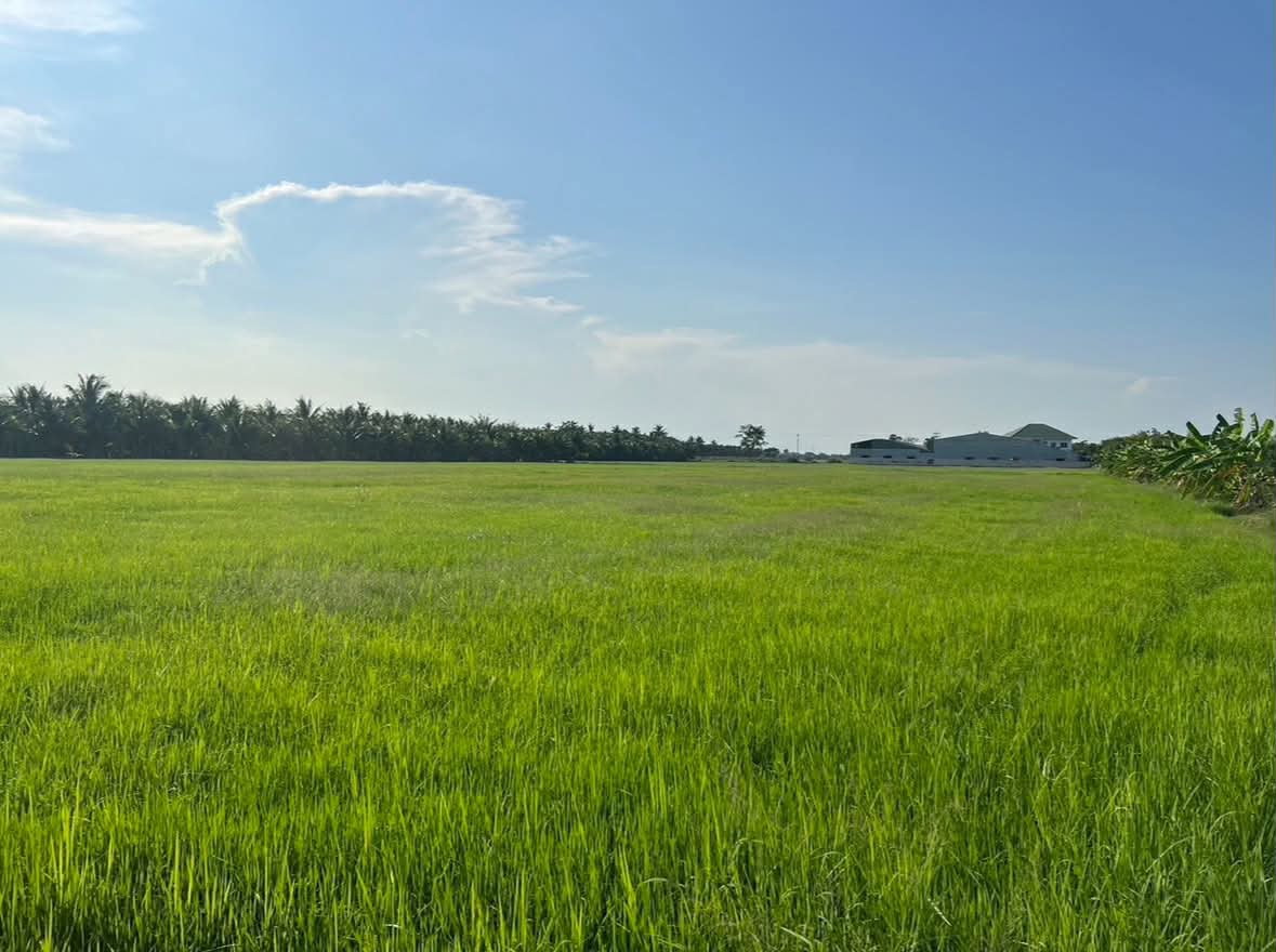 picture Vacant land for sale—excellent plot, suitable for a warehouse, café, or private residence. - 7/8