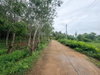 listing thumbnail image 8