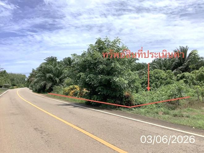 รูป ที่ดินว่างเปล่า 125 ตร.วา ปะเหลียน ตรัง 1.4M - รูปที่ 2/16