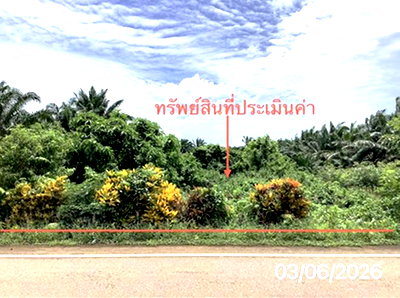 ที่ดินว่างเปล่า 125 ตร.วา ปะเหลียน ตรัง 1.4M