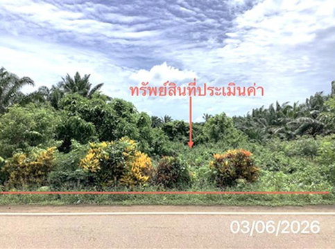 ที่ดินว่างเปล่า 125 ตร.วา ปะเหลียน ตรัง 1.4M