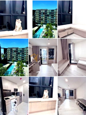 Condos for rent : 🔥 Available Now! Origin Play Sri Udom Station - Book Before It's Gone! 🔥 MD-26066364