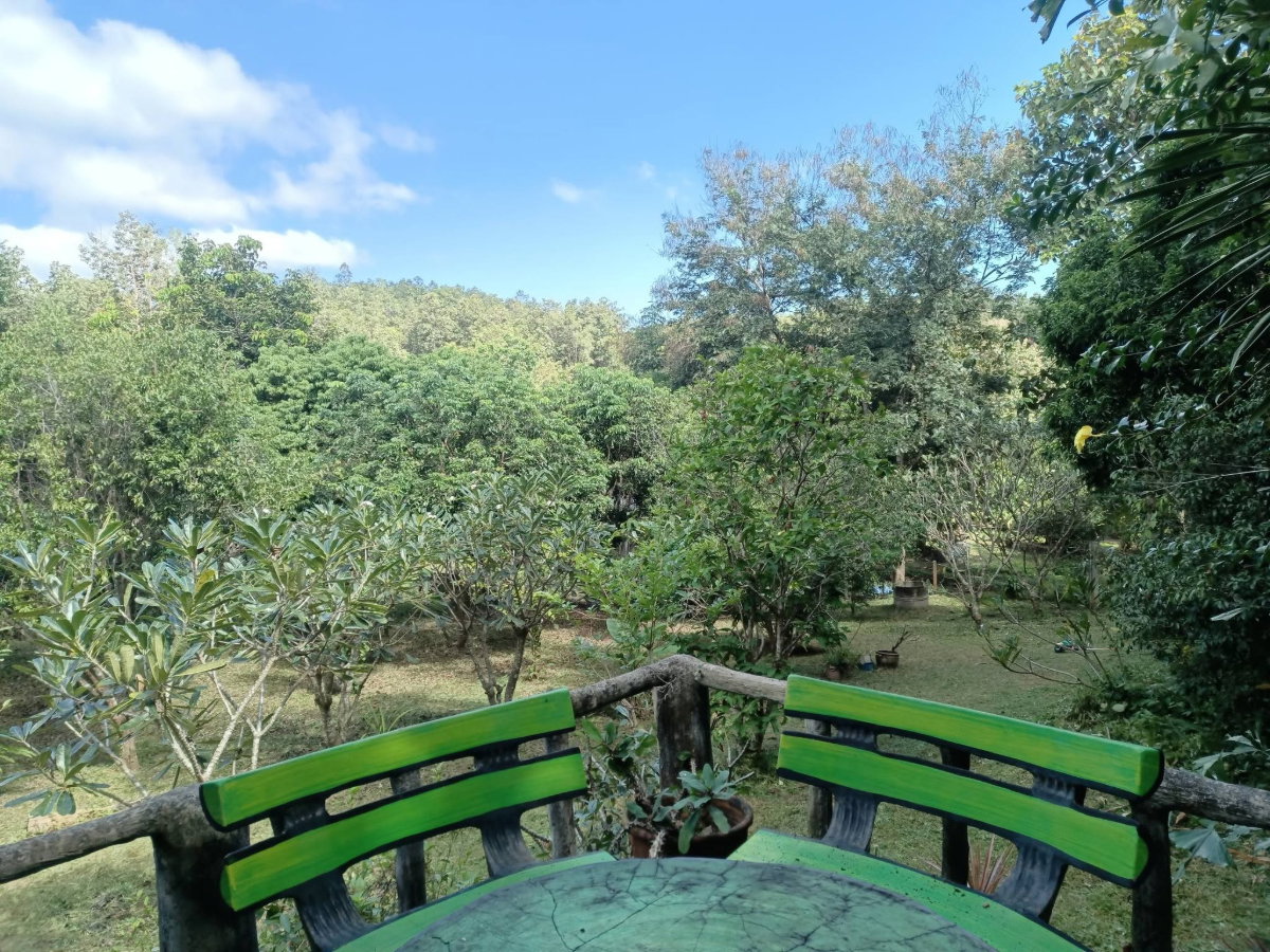 รูป ขายด่วน! บ้านสวนบรรยากาศดี ใกล้ธรรมชาติ น้ำแพร่-หางดง 🌳🏔️ T. 063-6649056 - รูปที่ 1/14