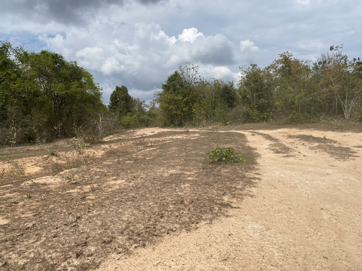 picture LAND 62633.5 Sq.w. Tha Yang Petchburi for 47M - 6/18