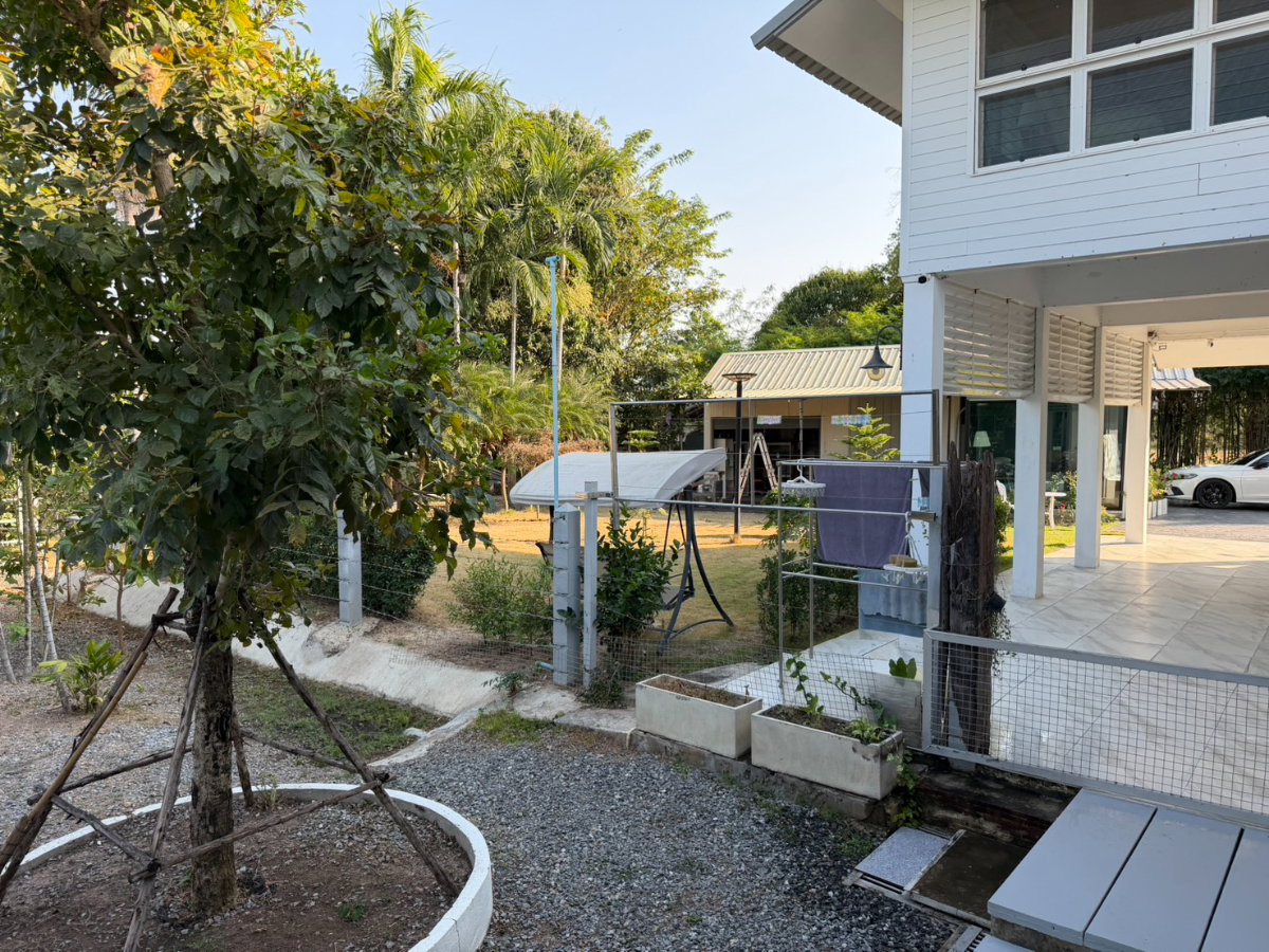 picture Nong phak nak sam chuk suphhan buri - 27/39