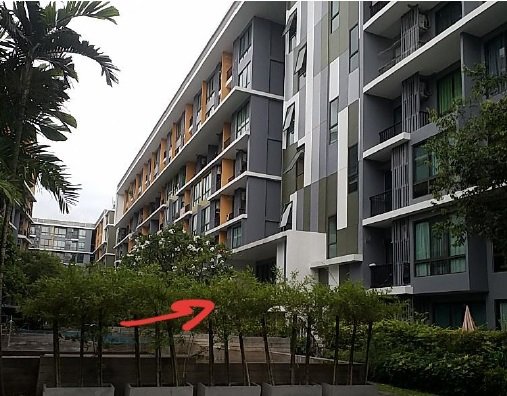 picture CONDO 33.93 Sq.m. Bang Na Bangkok for 2.1M - 1/9