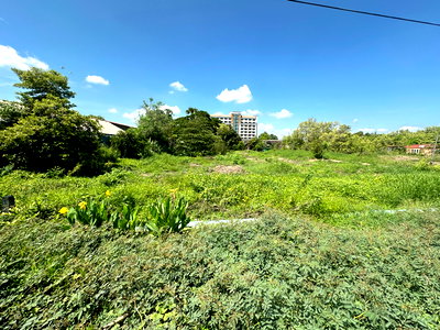 ที่ดิน เขตหนองจอก : ขายที่ดินติดถนนมิตรไมตรี เขตหนองจอก กทม.