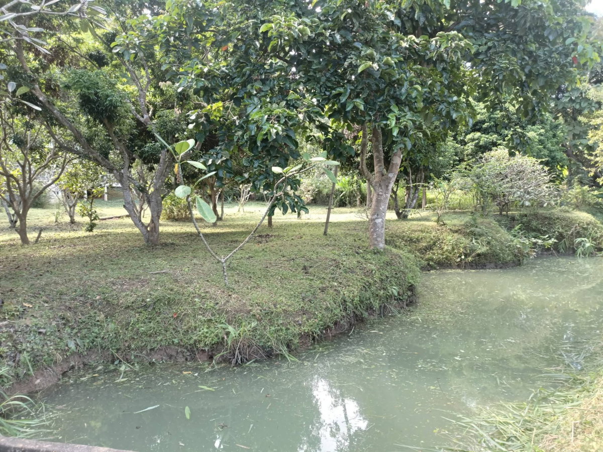 รูป ขายด่วน! บ้านสวนบรรยากาศดี ใกล้ธรรมชาติ น้ำแพร่-หางดง 🌳🏔️ T. 063-6649056 - รูปที่ 12/14