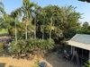 listing thumbnail image 16
