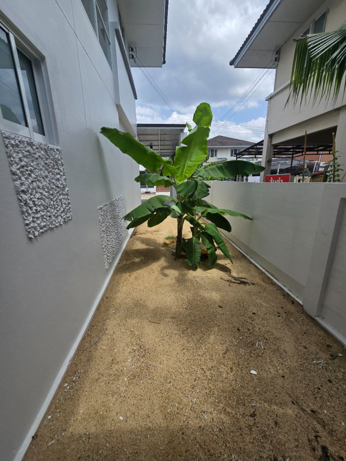 รูป บ้านเดี่ยว ตกแต่งรีโนเวทใหม่ ทำเลดี หมู่บ้านสิรารมย์ ลำลูกกา คลอง 4 ถนนลาดสวาย ถนนไสวประชาราษฎร์ ปทุมธานี - รูปที่ 18/29