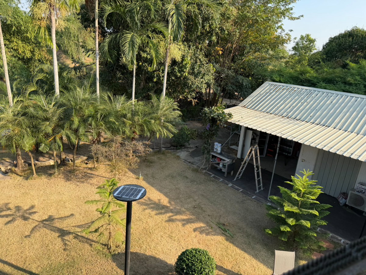 picture Nong phak nak sam chuk suphhan buri - 21/39