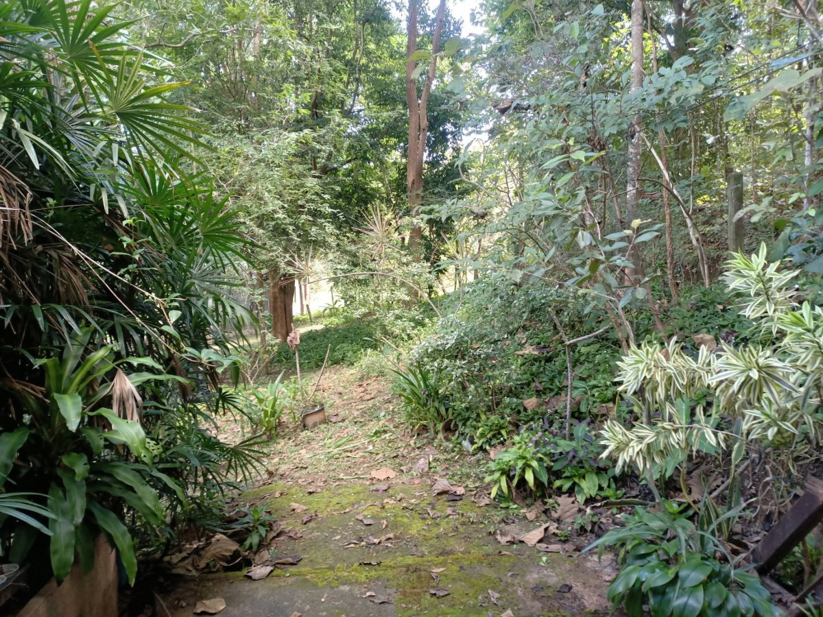 รูป ขายด่วน! บ้านสวนบรรยากาศดี ใกล้ธรรมชาติ น้ำแพร่-หางดง 🌳🏔️ T. 063-6649056 - รูปที่ 6/14