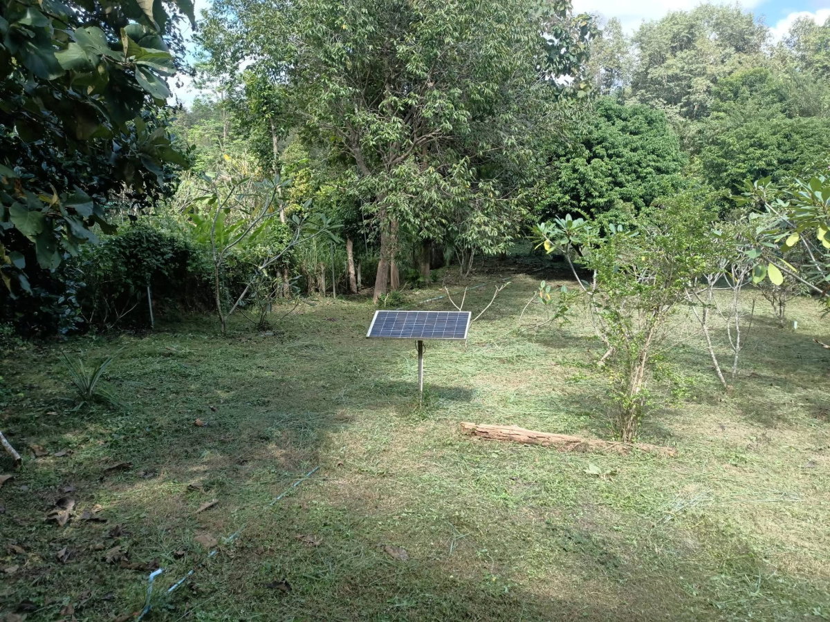 รูป ขายด่วน! บ้านสวนบรรยากาศดี ใกล้ธรรมชาติ น้ำแพร่-หางดง 🌳🏔️ T. 063-6649056 - รูปที่ 5/14