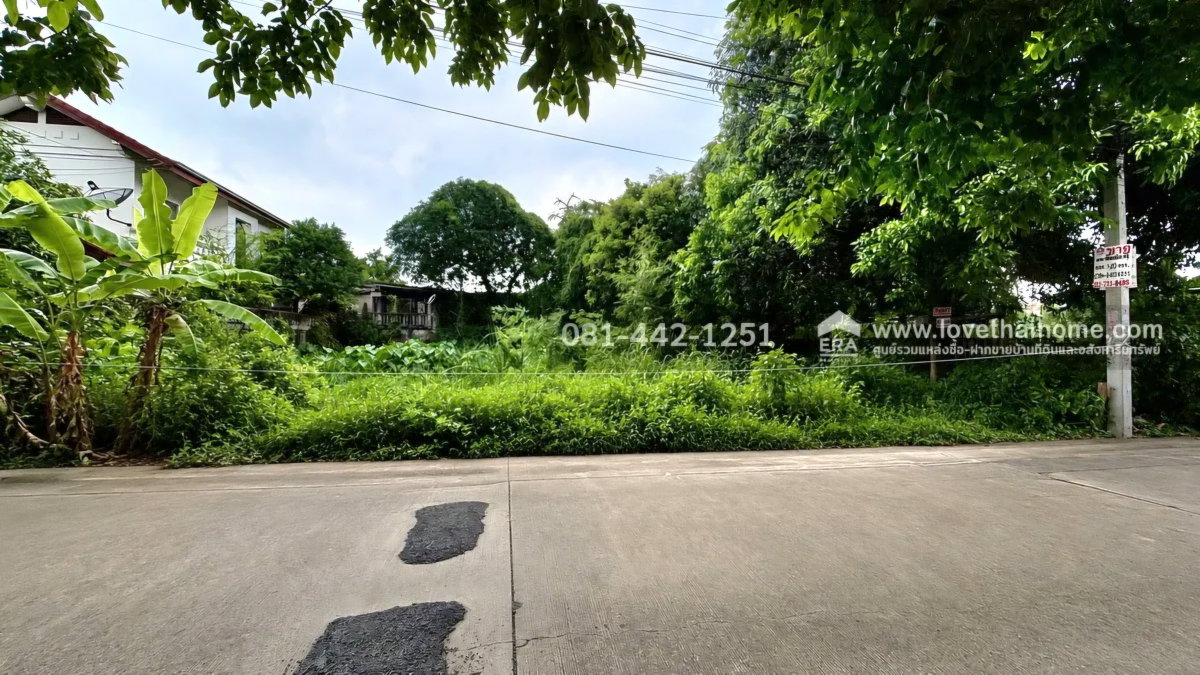 รูป ขายด่วน! ที่ดิน ซอยติวานนท์ 24 แยก 2-3 พื้นที่ 100 ตร.ว. ใกล้รถไฟฟ้าสายสีชมพู (สถานีแคราย) ขายเพียง 3.6 ล้านบาทเท่านั้น เข้าออกได้หลายทาง - รูปที่ 2/4