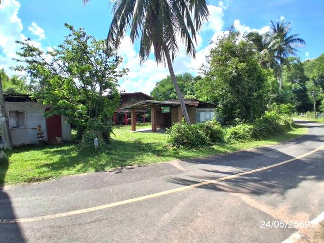 รูป บ้านเดี่ยว 148 ตร.วา พนมไพร ร้อยเอ็ด 511,000 - รูปที่ 10/26