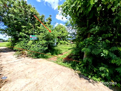 บ้านเดี่ยว เมืองสกลนคร สกลนคร : บ้านเดี่ยว 90 ตร.วา เมืองสกลนคร สกลนคร 563,000