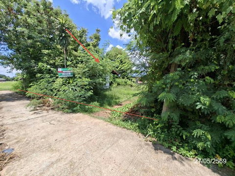 บ้านเดี่ยว 90 ตร.วา เมืองสกลนคร สกลนคร 514,000