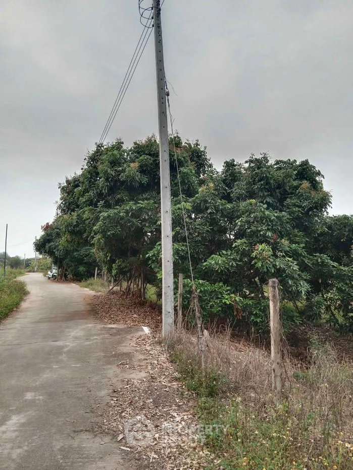 รูป ขายที่ดิน 46.9 ตร.ม. ทุ่งต้อม สันป่าตอง เชียงใหม่ (ID 3083397) - รูปที่ 2/3