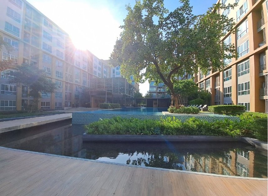 picture CONDO 29.95 Sq.m. Muang Rayong Rayong for 1.5M - 2/12