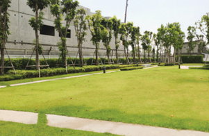 Project Pruksa Ville 65/1 Srisamarn Picture - 2/3