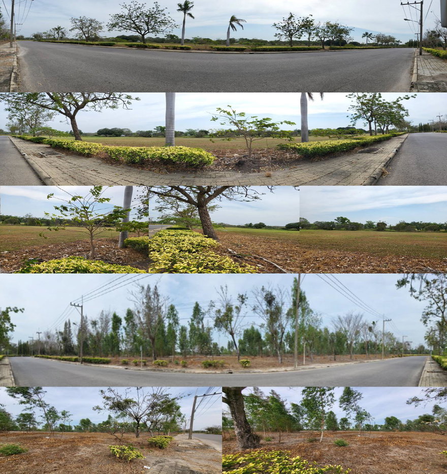 picture LAND 629.8 Sq.w. Muang Nakhon Pathom Nakhon Pathom for 4.4M - 3/8