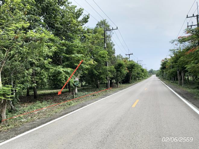 picture LAND 168.8 Sq.w. Na Di Prachinburi for 1.2M - 6/18
