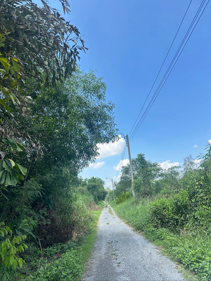 รูป ขายที่ดินซอยมิตรไมตรี2/2 เขตหนองจอก กทม - รูปที่ 8/10