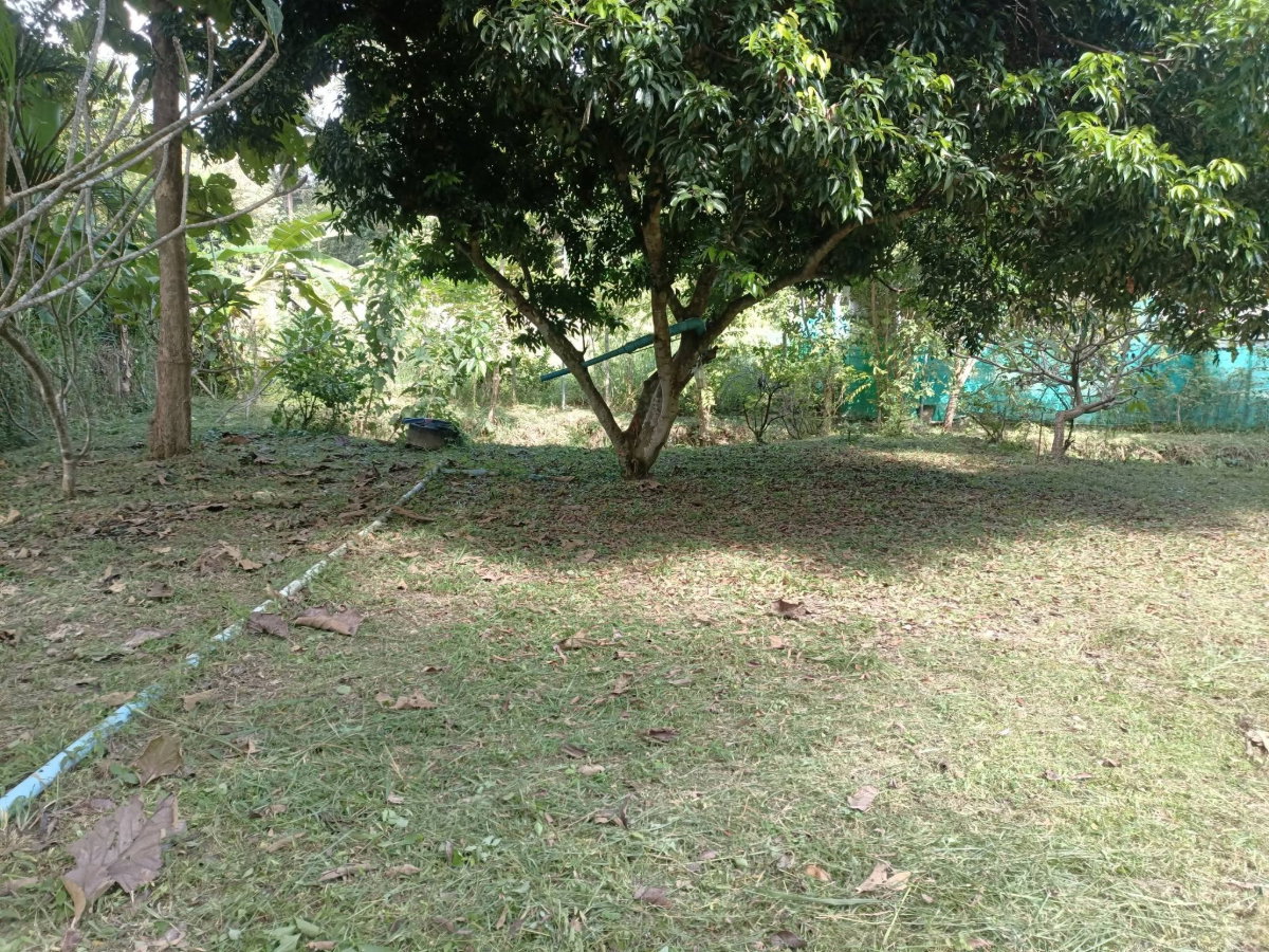 รูป ขายด่วน! บ้านสวนบรรยากาศดี ใกล้ธรรมชาติ น้ำแพร่-หางดง 🌳🏔️ T. 063-6649056 - รูปที่ 8/14