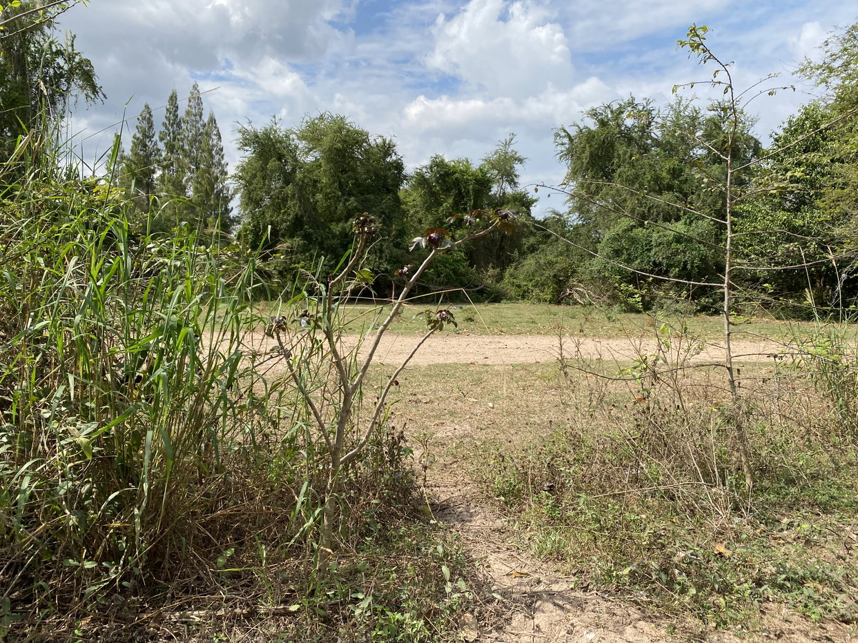 picture LAND 62633.5 Sq.w. Tha Yang Petchburi for 47M - 5/18